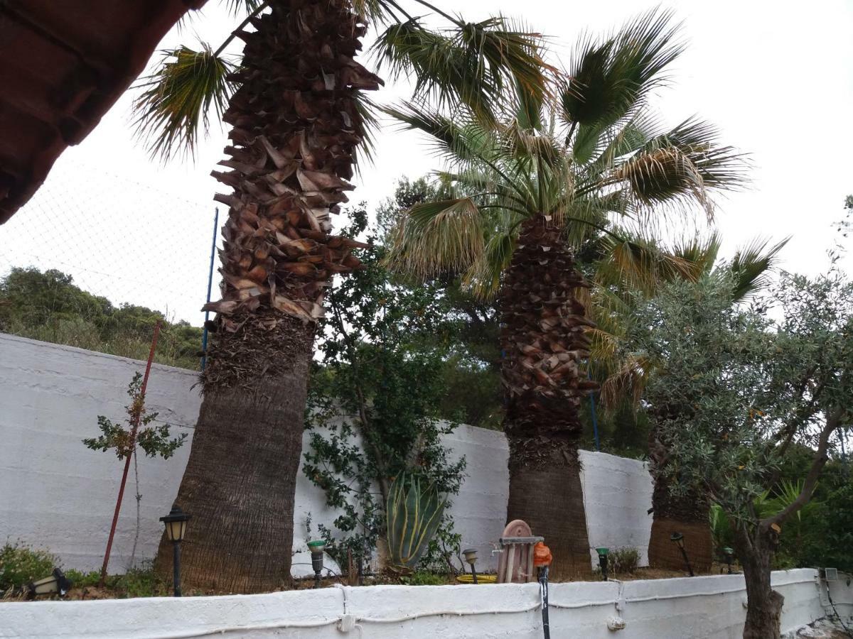 Aliki House